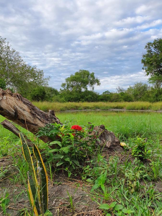 Вилла Africa Safari Selous Nyerere National Park Nyakisiku Экстерьер фото