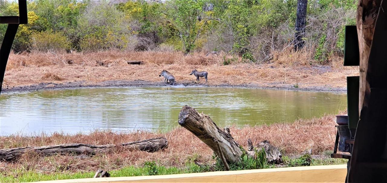 Вилла Africa Safari Selous Nyerere National Park Nyakisiku Экстерьер фото