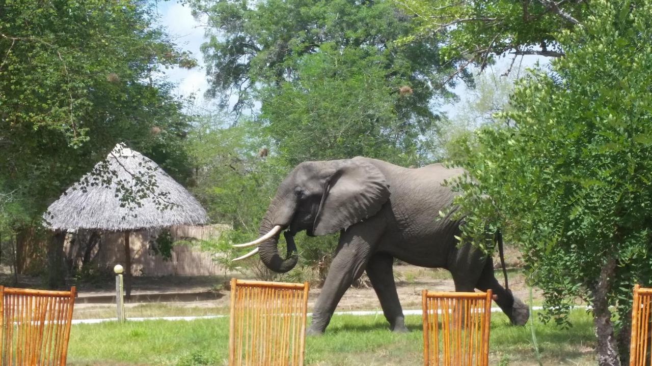 Вилла Africa Safari Selous Nyerere National Park Nyakisiku Экстерьер фото