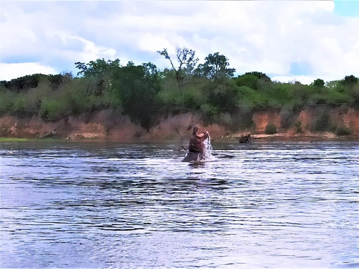 Вилла Africa Safari Selous Nyerere National Park Nyakisiku Экстерьер фото