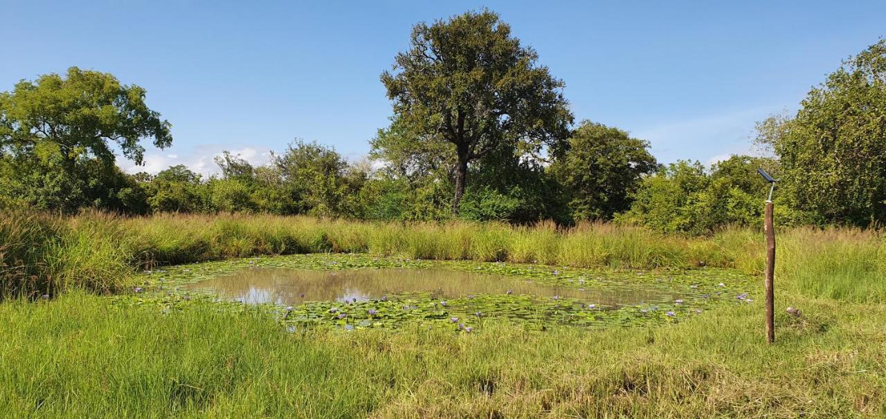 Вилла Africa Safari Selous Nyerere National Park Nyakisiku Экстерьер фото