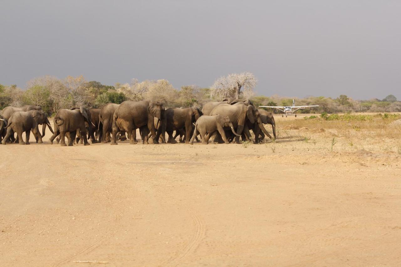 Вилла Africa Safari Selous Nyerere National Park Nyakisiku Экстерьер фото