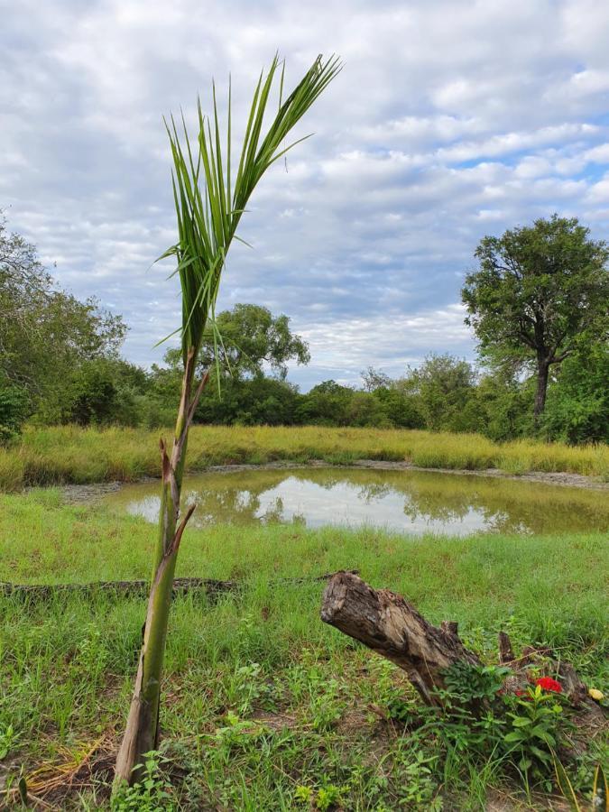 Вилла Africa Safari Selous Nyerere National Park Nyakisiku Экстерьер фото