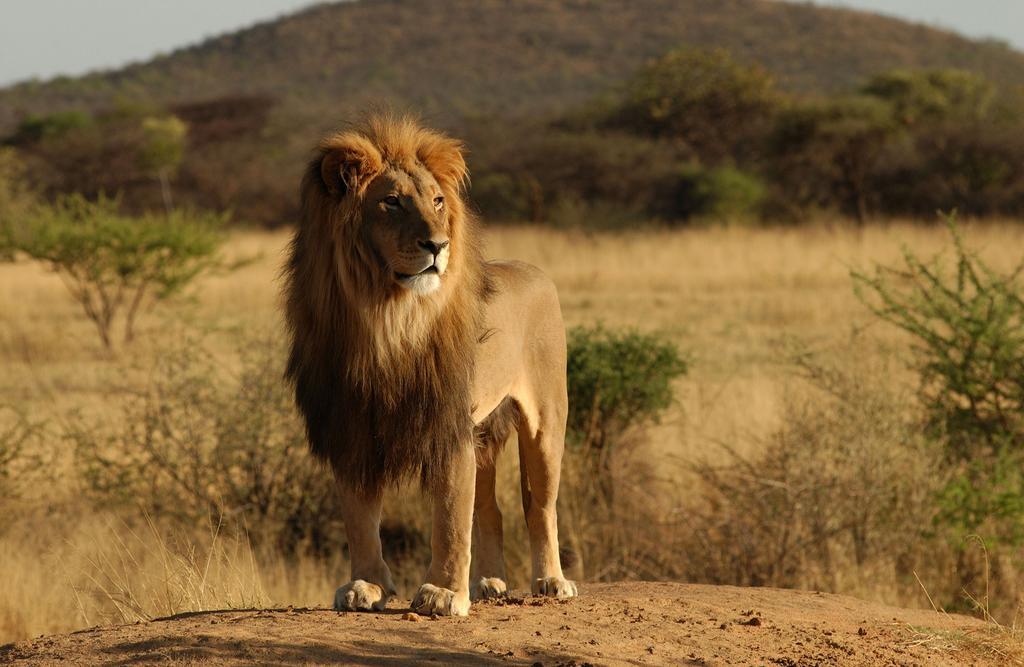 Вилла Africa Safari Selous Nyerere National Park Nyakisiku Экстерьер фото